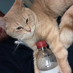 Meet your Posher, Thomas